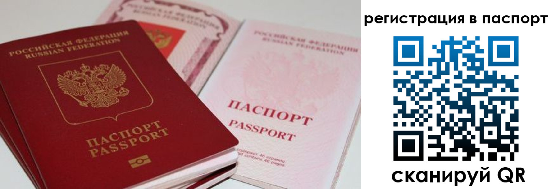 временная регистрация недорого в Рыбном
